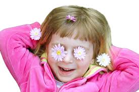 Grass And Daisies PNG Transparent Images Free Download