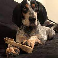 Special emphasis on nutritional support. All Pet Supplies Equine Center Pet Store