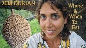 2018 Durian Season Guide to Malaysia