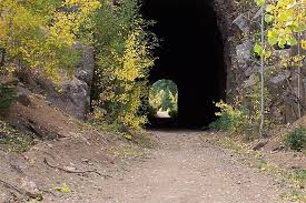 We did not find results for: Upper Gold Camp Road Colorado Trails Traillink