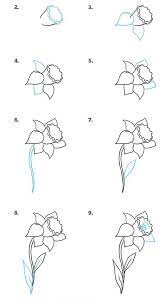 How To Draw A Daffodil Step By Step Drawing Diy Tutorial White Background In 2020 Flower Drawing Flower Drawing Tutorials Cute Flower Drawing