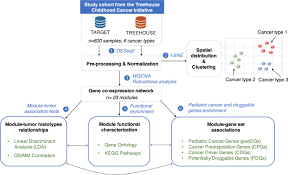 He (tell) me that he (fish) in the river every weekend for the last two years but that he (never catch) anything. Depicting The Genetic Architecture Of Pediatric Cancers Through An Integrative Gene Network Approach Scientific Reports