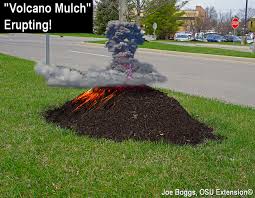 Check spelling or type a new query. Treemergency Mulch Volcanos Are Erupting In Landscapes Bygl