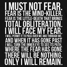 I Will Not Fear Fear Is The Mind Killer Pin On Geekin Out