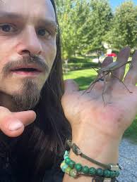 What are your favorite mantis or memes?