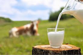 Raw Milk in Nebraska: What Older Adults Should Know