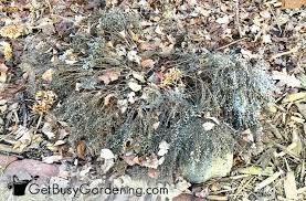 When the gardening beds are all cleaned up, perennials are starting to emerge and the weather is cooperating, it's time to go have you done your spring garden clean up yet? Spring Garden Clean Up Checklist Cleaning Tips