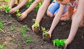 Seamos todos parte del movimiento que se preocupa por la conservación de los recursos naturales, evitemos la. Actividades Divertidas Para Cuidar El Medio Ambiente En Casa