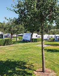 camping ter leede tussen de fruit bomen camping vakantie plekken campervakantie