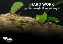 Pin On Ant Quotes