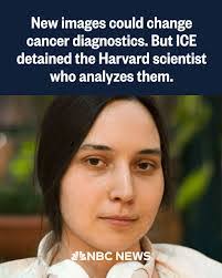 Irma Haas's Instagram, Twitter & Facebook