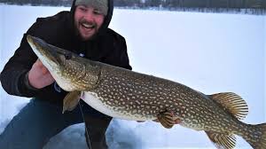 Lake link your digital fishing and. Fishing Outdoor Reports Official Washburn County Wi Tourism Website