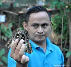 Coral, Mangroves, Caribbean Sea