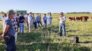 La recaudación y el producto en tiempos de vacas flacas. El Destete Precoz A Hijos De Vacas Flacas Marca Que Los Numeros Dan En Cualquier Escenario De Precios Diario El Telegrafo