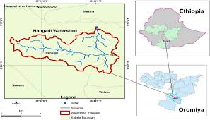 Image result for Embelia welwitschii