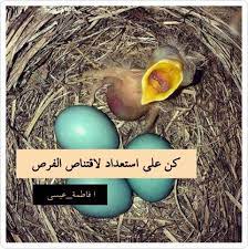 كن دائما مستعدا لاستقبال فرص التميز رتب افكارك واسعى ان تطور من نفسك ومهاراتك لا تنتظر الفرصه المناسبه ثم تفكر كيف تستثمرها صباحيات فاطم food eggs breakfast