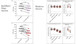 Pfizer's covid vaccine is even more amazing than you think efficacy against variants is showing the drug is the gold standard in preventing covid. Eric Topol On Twitter New Reports Nejm Today Confirming Some Immune Evasion Of The B 1 351 Variant Identified In South Africa To Both The Mrna Vaccines In Vitro Data Biontech Group Pfizer And Moderna Tx Less