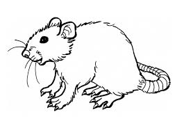 Free Printable Rat Coloring Pages For Kids Mermaid Coloring Pages Super Coloring Pages Animal Coloring Pages