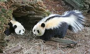 27 hilarious pics of animals photoshopped into random things cured my hatred. 20 Strange Animal Hybrids Bred In Photoshop Atchuup Cool Stories Daily