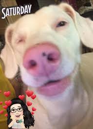 What do you remember about September 11, 2001?