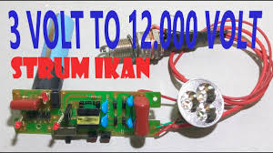 Maybe you would like to learn more about one of these? 3 Volt To 12 000 Volt How To Make A Fish Set Youtube