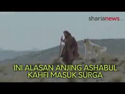 Berkemungkinan cuaca berangin ketika nama digunakan. Ini Alasan Anjing Ashabul Kahfi Bisa Masuk Syurga Youtube
