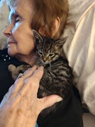 Joanna Beth Wood Obituary December 8, 2024