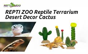 The saguaro cactus (carnegia gigantea) are a backbone plant of the sonoran desert. Amazon Com Repti Zoo Reptile Terrarium Decor Cactus Plant Decoration For Lizard Gecko Bearded Dragon Habitat Decoration Pet Supplies