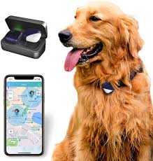Garp from the one piece franchise. Amazon Com Petfon Pet Gps Tracker No Monthly Fee Real Time Tracking Collar Device App Control For Dogs And Pets Activity Monitor Pet Supplies