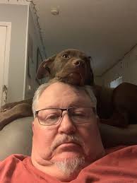 Anyone else's labradors working themselves to exhaustion? Mine will not  stop searching