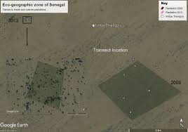 Image result for Enteropogon prieurii