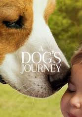 In an attempt to stall jennifer's biological clock, john gives her a puppy. Marley Me Streaming Where To Watch Movie Online