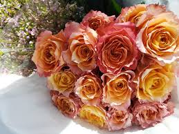 Industry:whol flowers/florist supplies, whol nondurable goods, flowers and florists supplies, nsk. Jet Fresh Flower Distributors Inc Miami 1 305 499 9144