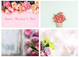 Check spelling or type a new query. The Best Mother S Day Flower Gifts You Can Think Of Cadeaux Pour Elle