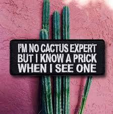 Eso me ha pasado con muchas cosas y últimamente me ha pasado con los cactus que.¡me encantan! Los Cactus Son Los Nuevos Gatos Yorokobu