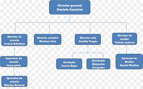 Organizational Chart Web Analytics Png Download 1436 873