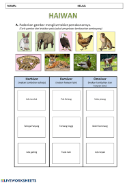 Stesen 5 haiwan yang tiada kaki dan bersisik 4. Haiwan Interactive Worksheet