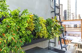 Di dalam rumah kaktus ini terdapat banyak sekali koleksi tanaman kaktus mulai dari yang mini hingga. 18 Jenis Desain Taman Atap Rooftop Garden Arsitag