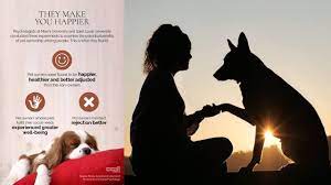 19 hours ago · happy national dog day! P6pct0rqsov4gm