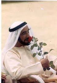 shaikh zayed uae national day history uae sultan pictures