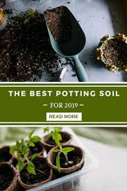 Best Potting Soil For Indoor Plants Potting Soil Garden Nook Healthy Plants