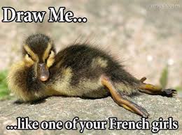 35 Duck Memes That Will Make You Quack All Day Funny Animal Photos Funny Animals Cute Animals