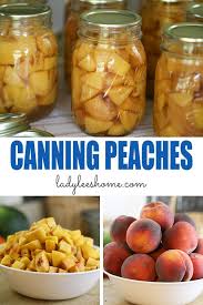Home canned peaches stored in glass mason jars also taste dramatically better than store bought peaches in tin cans, and if you have your own peach tree they're almost free. Canning Peaches Step By Step Lady Lee S Home