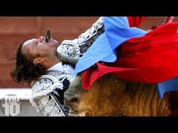 Image result for Most Awesome Bull Fighting Festival #6