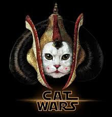 Cat Wars Amidala T Shirt By Detullio Pasquale Black Large Mens Fitted Tee In 2020 Star Wars Art Cat Art Creepy Cat