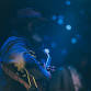Aynsley Lister Band event image