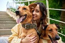 M.A.S.H. Pet Adoption Event