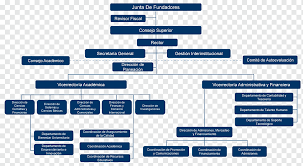 Unsere kundenorientierung zeigt sich auch im organigramm, denn wir legen grossen wert auf eine schlanke. Organigramm Empresa Management Corporation Geschaft Winkel Bereich Bank Png Pngwing