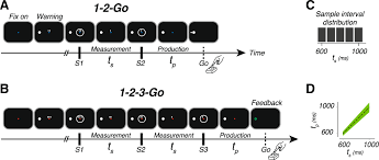 A nonlinear updating algorithm captures suboptimal inference in the  presence of signal-dependent noise