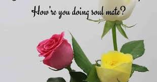 Wishing you a wonderful day. Good Morning Love Messages For Her To Make Her Smile Quotes Quoteray Com